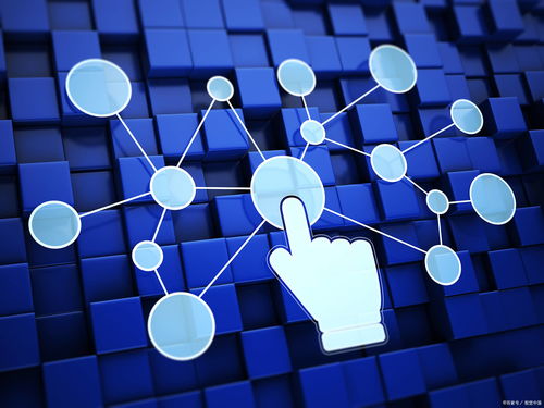 數(shù)字經(jīng)濟(jì)發(fā)展 互聯(lián)網(wǎng)技術(shù)開發(fā)的機(jī)遇與挑戰(zhàn)