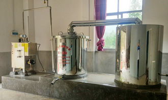 電加熱釀酒設備 原來,桑葚與純糧酒才是絕配