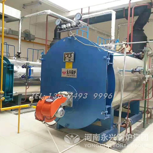 【釀酒食品化工-工業(yè)燃?xì)庹羝仩t_燃?xì)忮仩t廠家】-